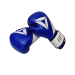 Перчатки боксерские RONIN HIT